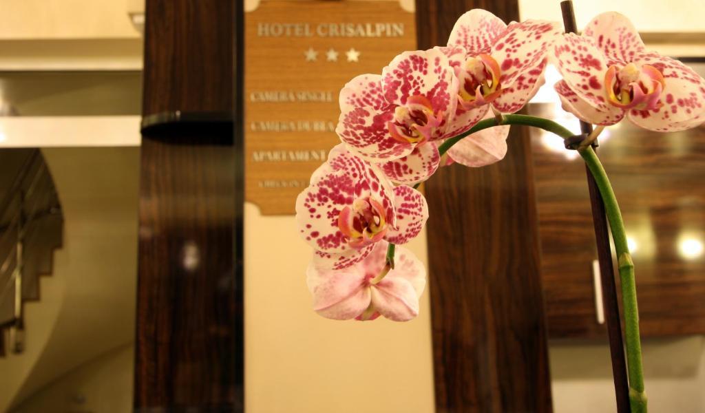 Hotel Crisalpin Poiana Brasov Bagian luar foto