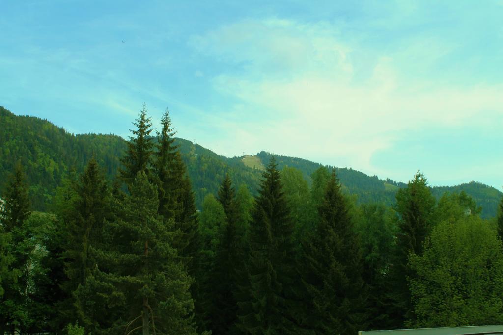 Hotel Crisalpin Poiana Brasov Bagian luar foto